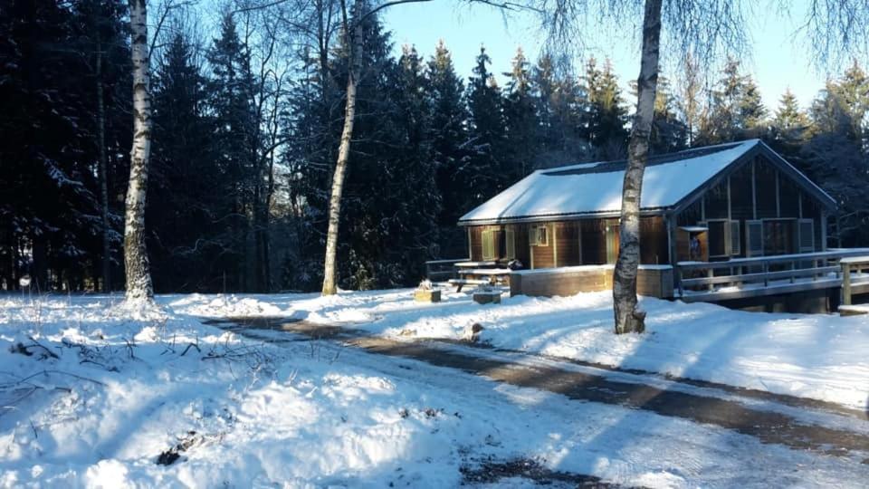 Chalet "A l Orée du bois" photo 1