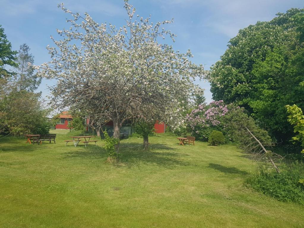 Villa Freja photo 2