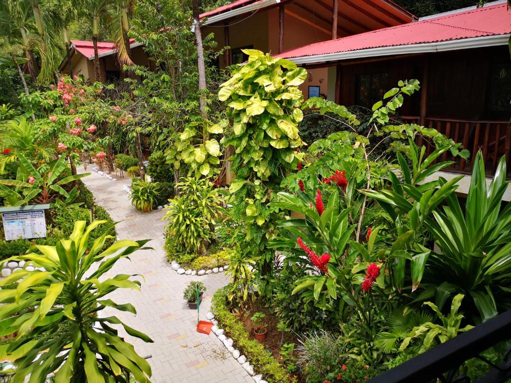 Hotel Belvedere Playa Samara Costa Rica photo 4
