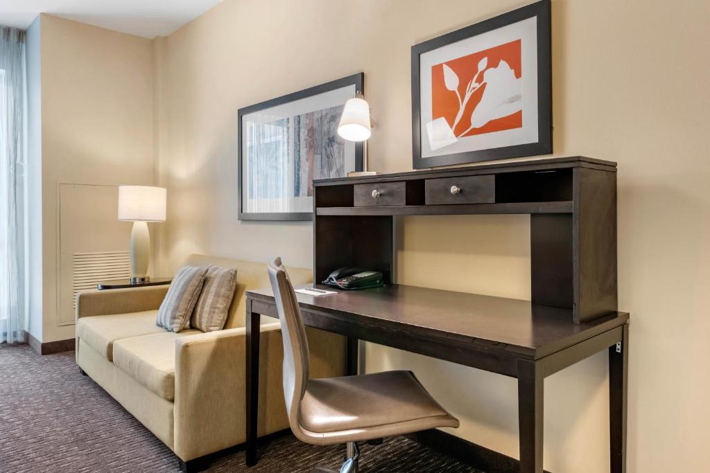 Staybridge Suites St. Petersburg FL, an IHG Hotel photo 4