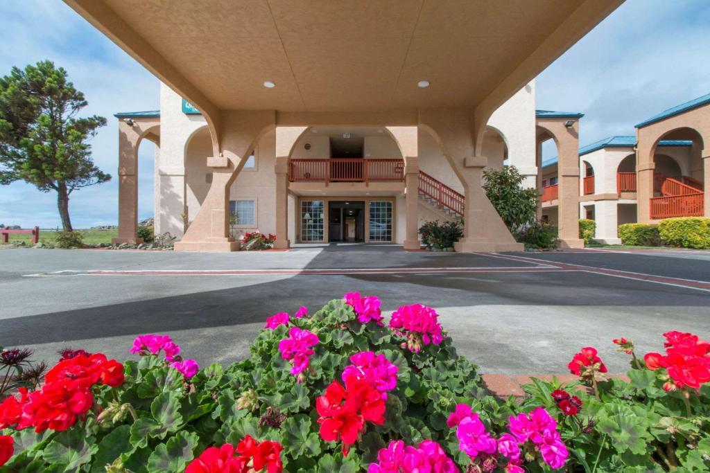Quality Inn & Suites Redwood Coast photo 2