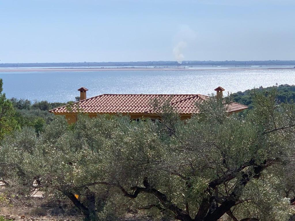 Casa Mola photo 2