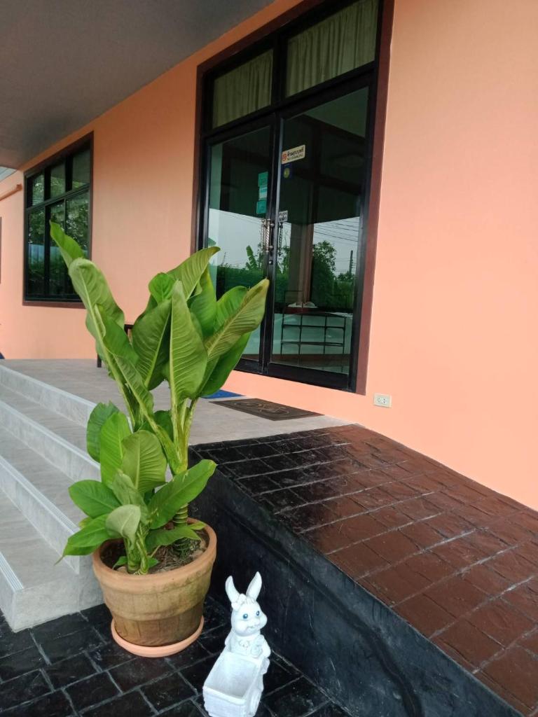 QG Resort photo 4
