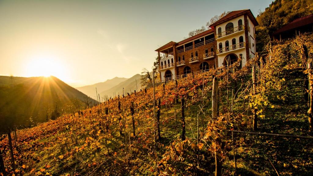 Hotel Chateau Iveri photo 4