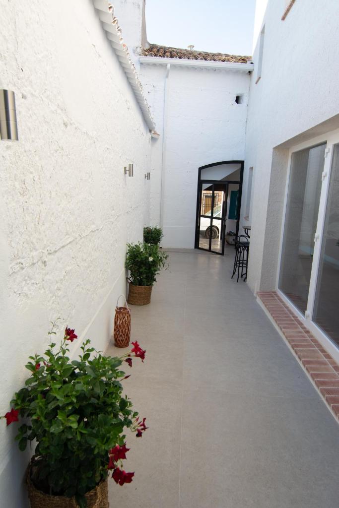 Casa Rural Tía Sofia photo 4