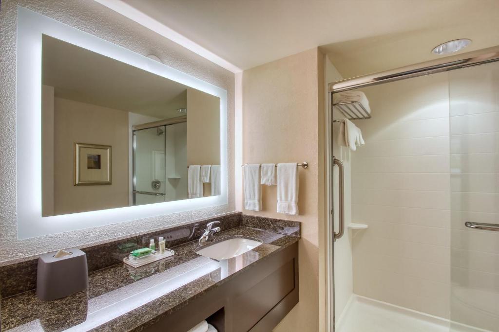 Двухместный (Люкс с видом - для некурящих), Holiday Inn & Suites Atlanta Airport North, an IHG Hotel