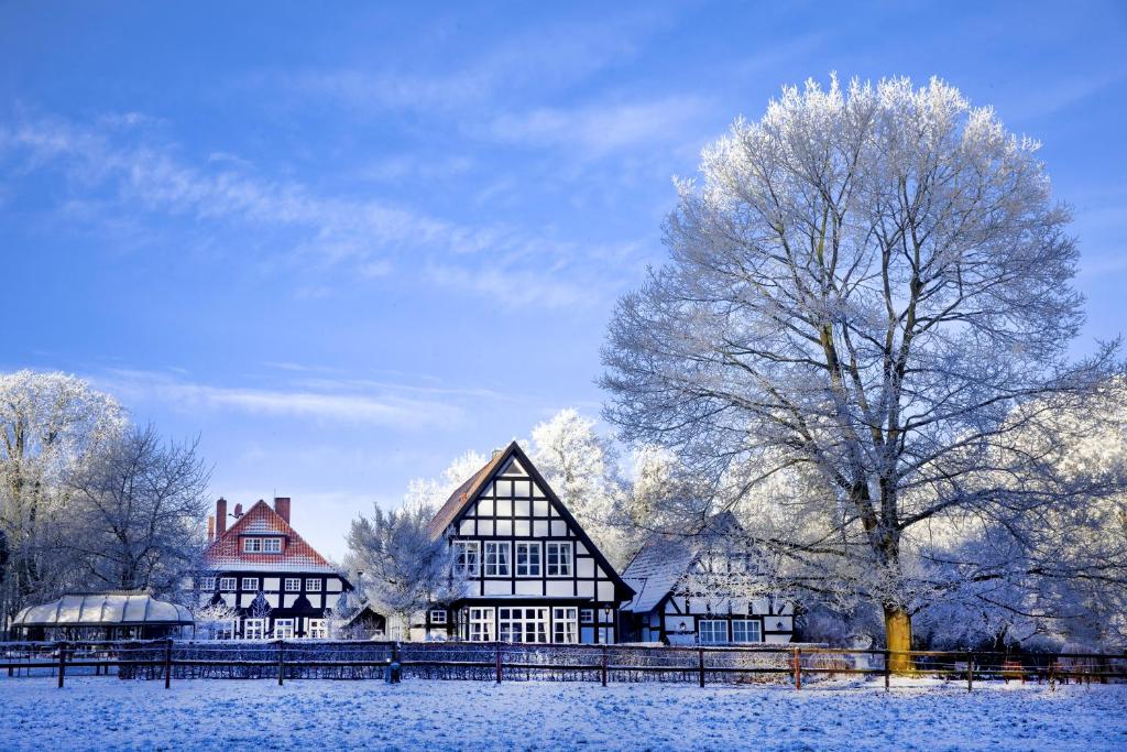 Forsthaus Heiligenberg photo 2