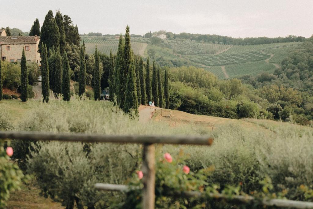 Tenuta Sant'Ilario photo 4