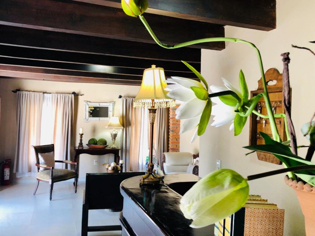 Hotel Carretas by Rotamundos photo 4