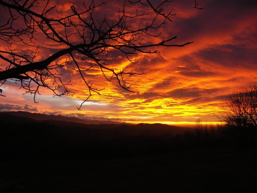 Haras Picard Du Sant Le Chalet photo 1