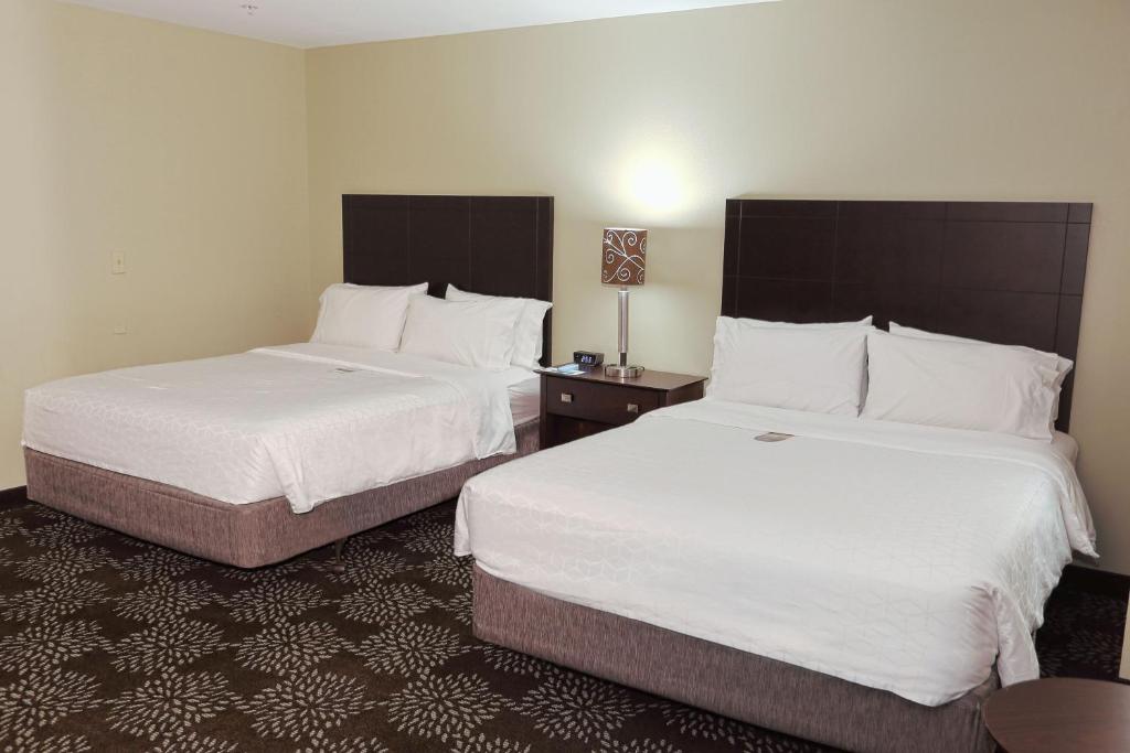 Holiday Inn Express Pittsburgh West - Greentree, an IHG Hotel photo 2