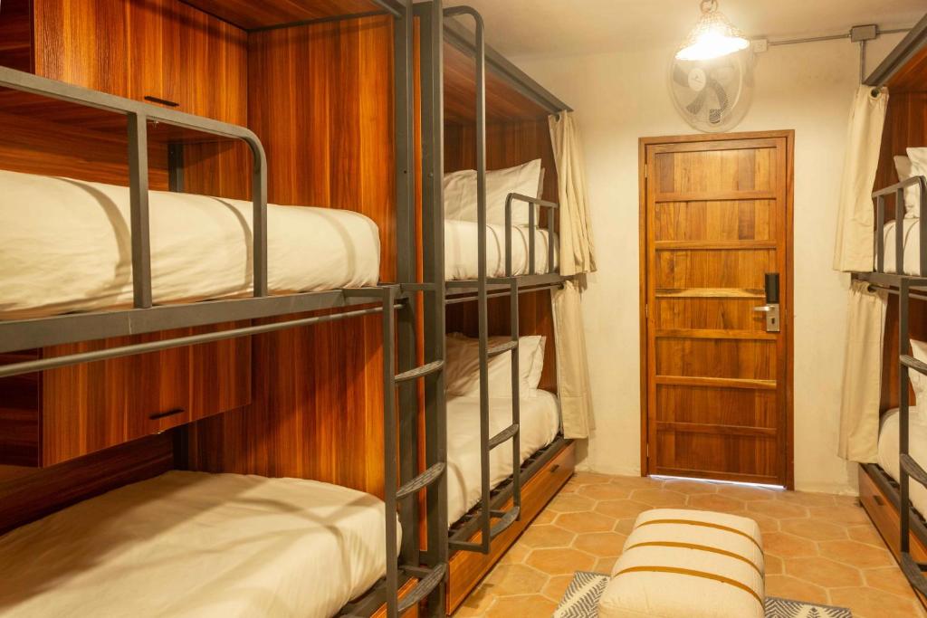 Номер (Кровать в просторном общем номере), Hostel Poc Na Isla Mujeres