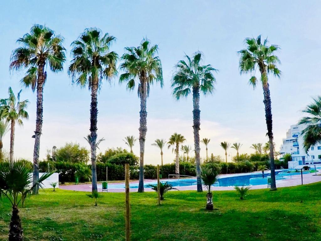 Atico lujo primera linea, terraza, piscina, parking photo 4