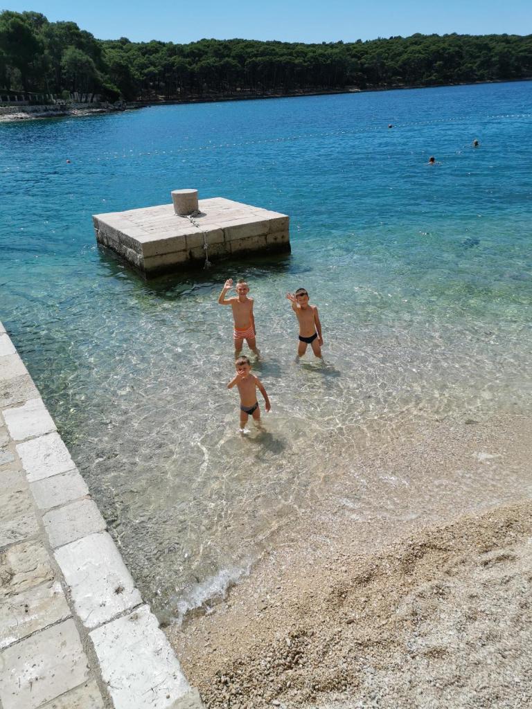 Čikat bay residence photo 1