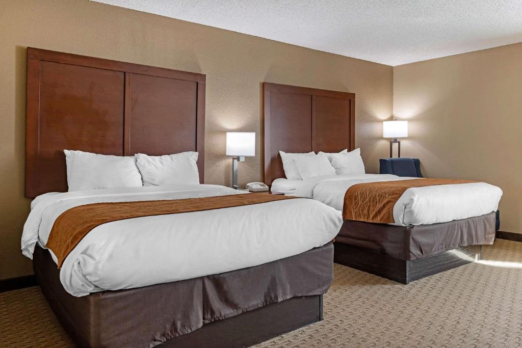 Comfort Inn N Myrtle Beach Barefoot Landing photo 4
