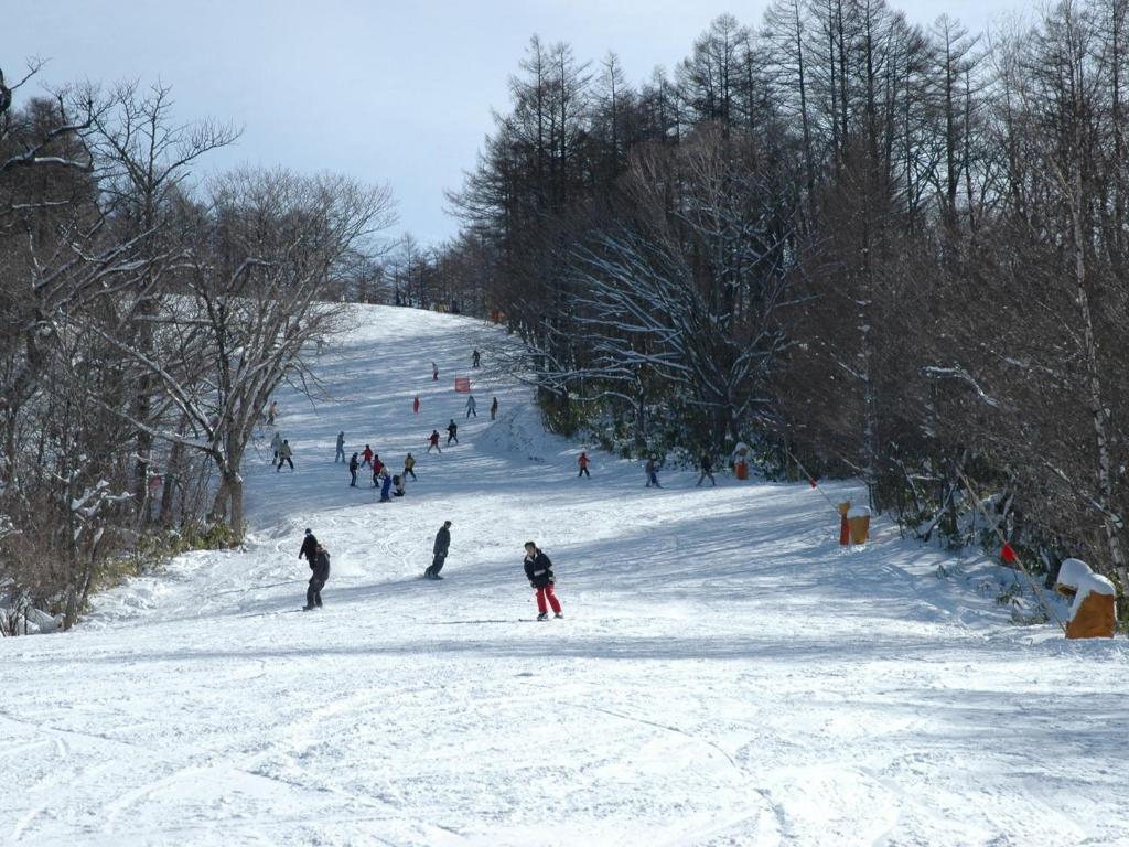 Okunikko Park Lodge Miyama photo 4