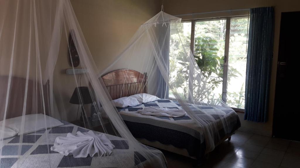 Hotel Tikal Inn photo 3