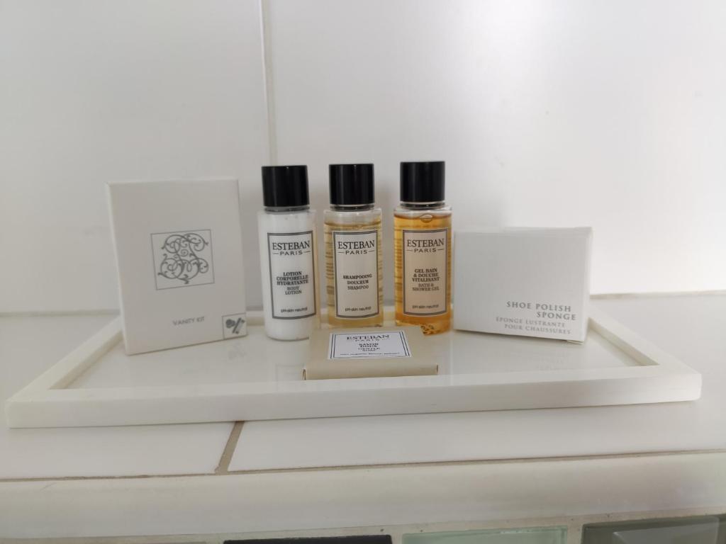 호텔 르 릴레 세인트 찰리 (Hotel le Relais Saint Charles) - 화장실