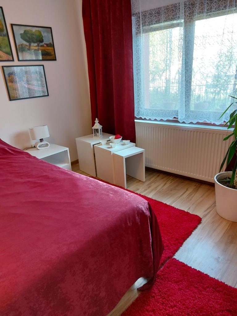 Apartment Skiptar photo 4