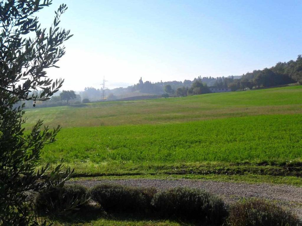 Appartamenti con cucina nelle colline toscane photo 2