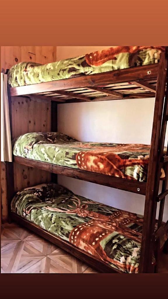 Hostel Andino photo 4