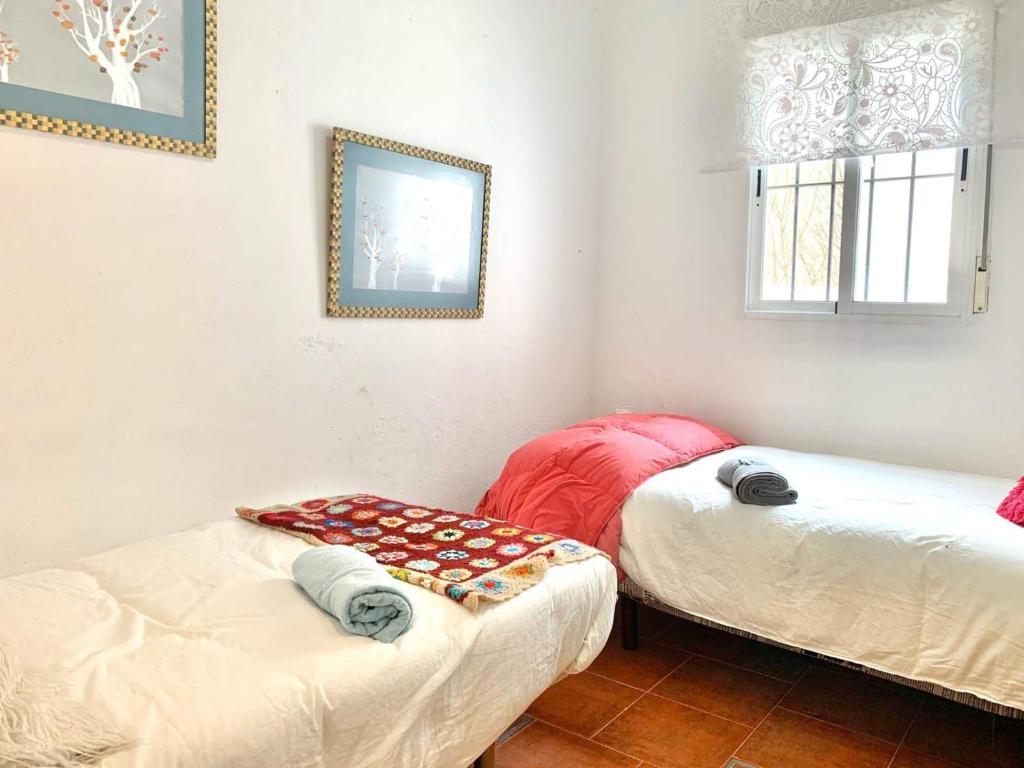 Casa centro photo 2