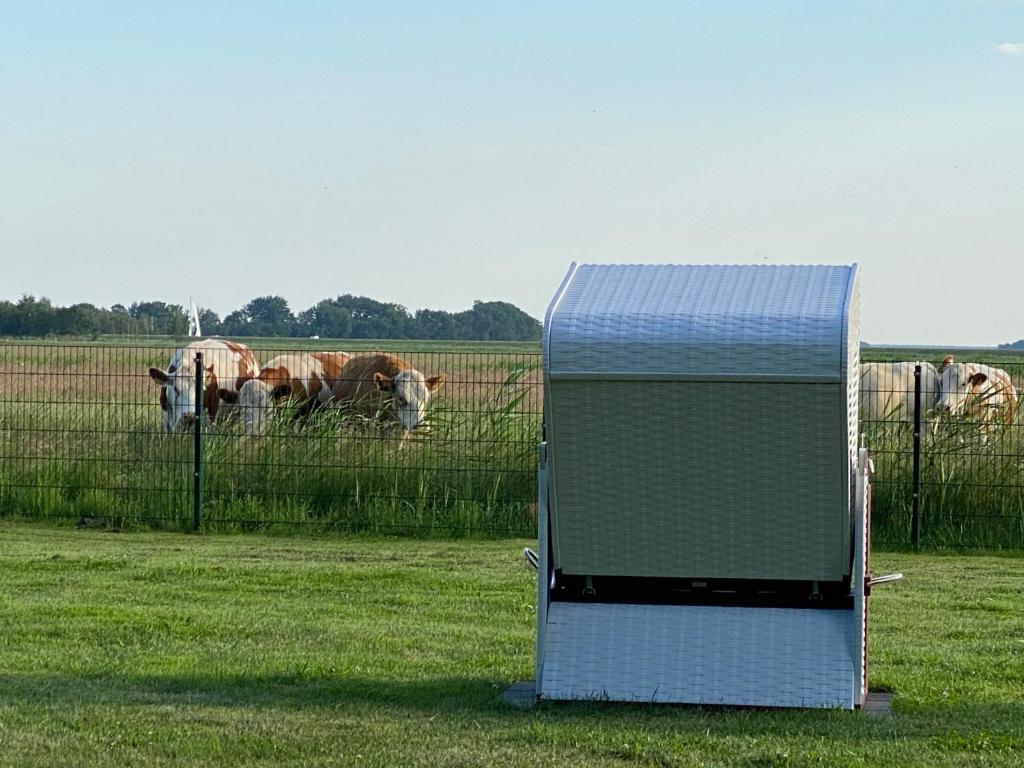 Zingst Haus Hugo photo 1