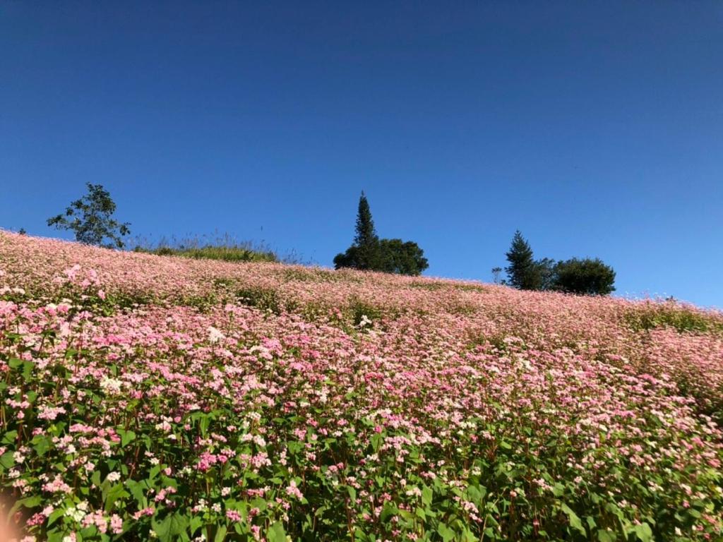 Nhà nghỉ Cao Nguyên