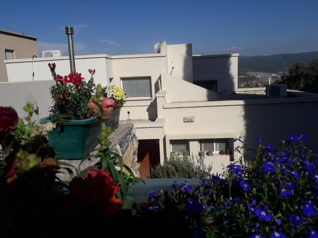 Oren's place - perfect for families & friend's photo 1