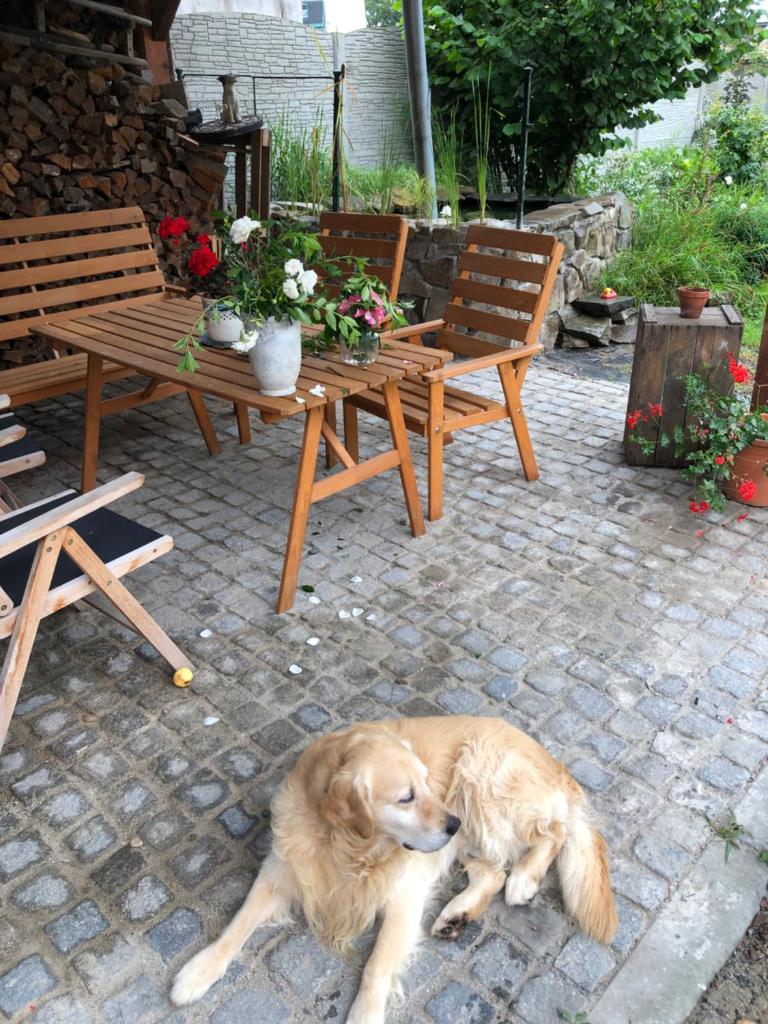 Stylový historický apartmán se zahradou v srdci Moravy poblíž Kroměříže a Olomouce photo 4