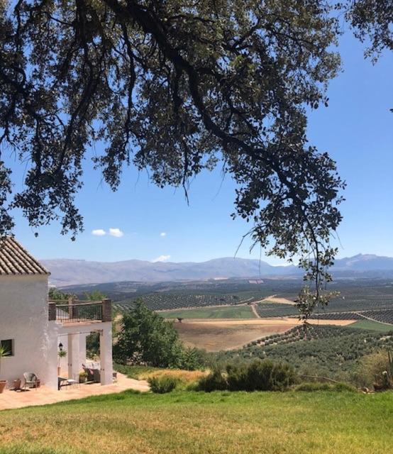 Finca El Almendrillo photo 1