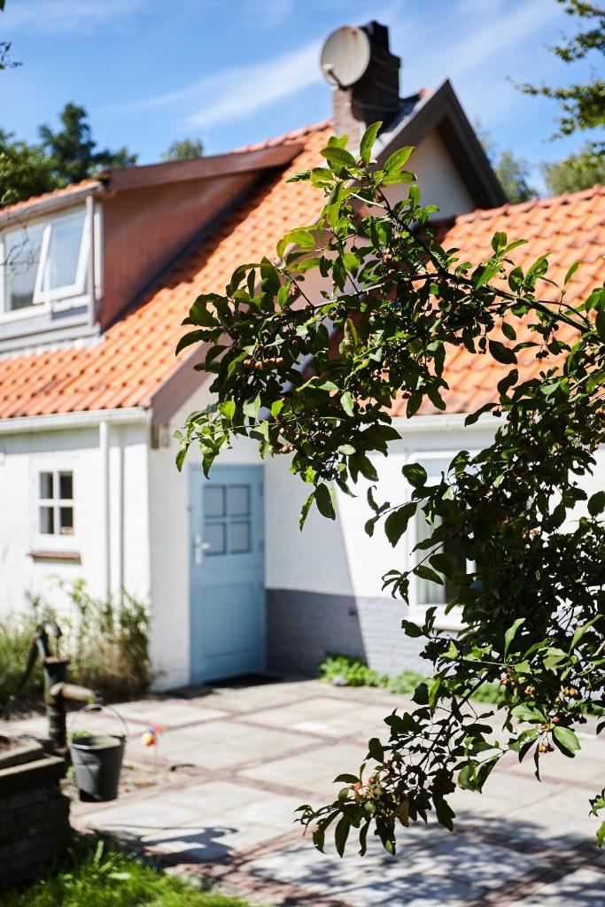 Cottage Duinroos - Dune Rose photo 2