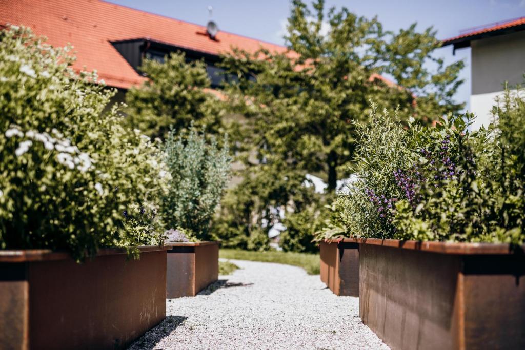 Angermühle Landgasthof photo 4