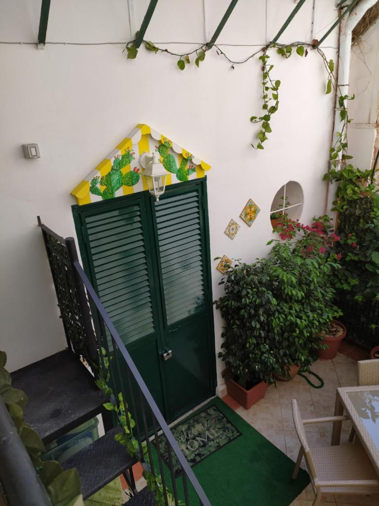 Casa Sicana photo 4