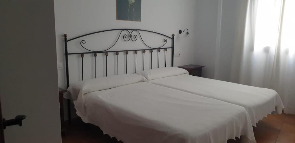 Rotacapa photo 4