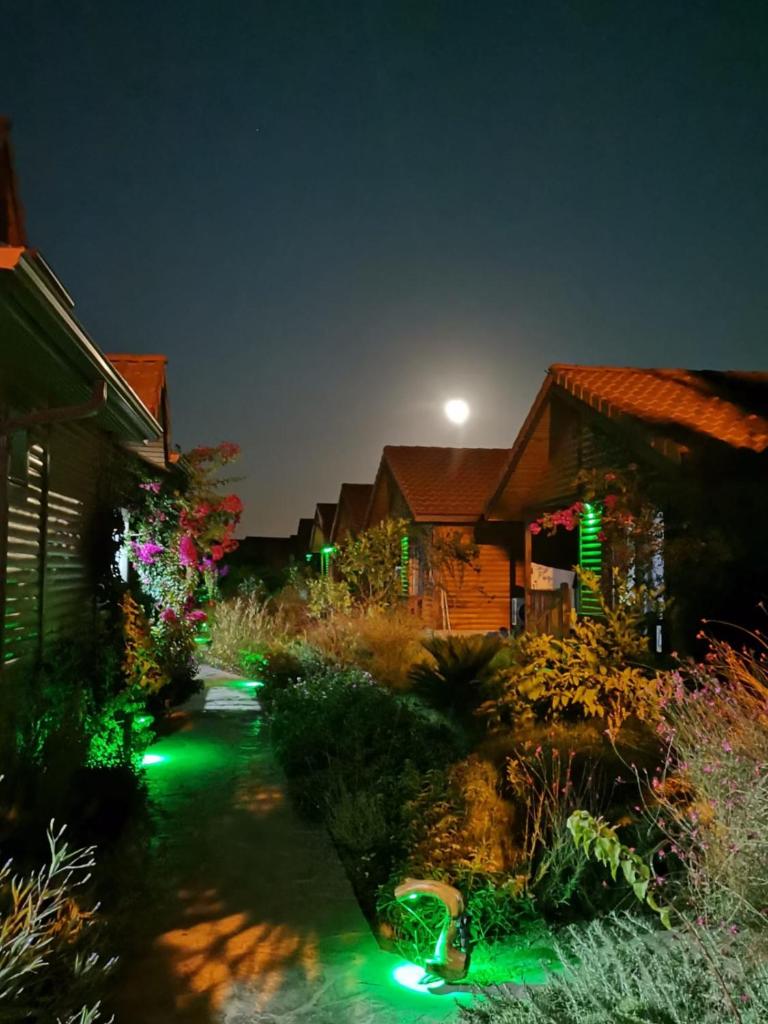 Leontopolis Apart Otel photo 2