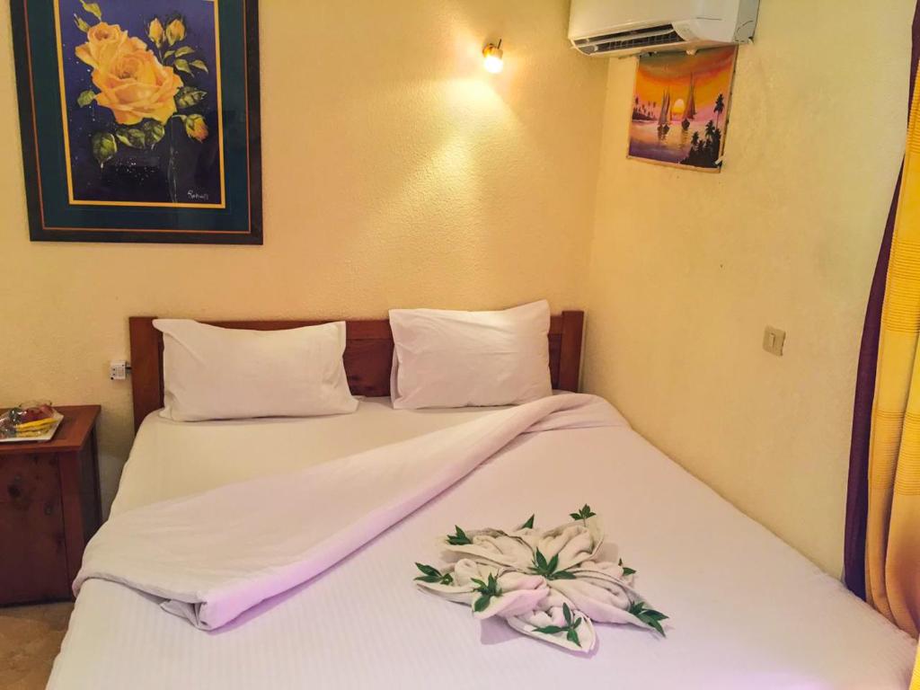 Трехместный (Трехместный номер, вид на сад), Golden Europe Hotel