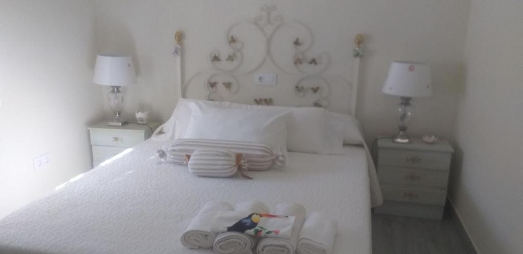 Apts con encanto y patio en monfrague photo 4