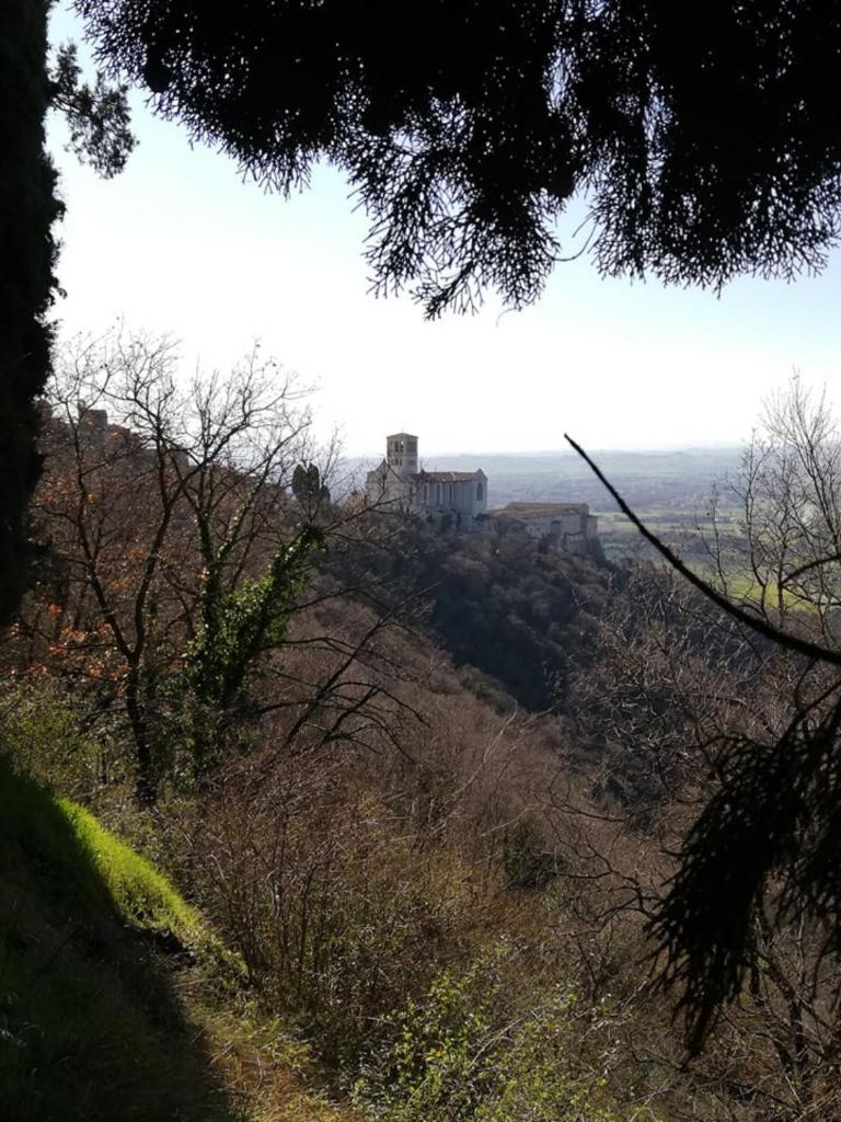 Hotel Villa Elda photo 2