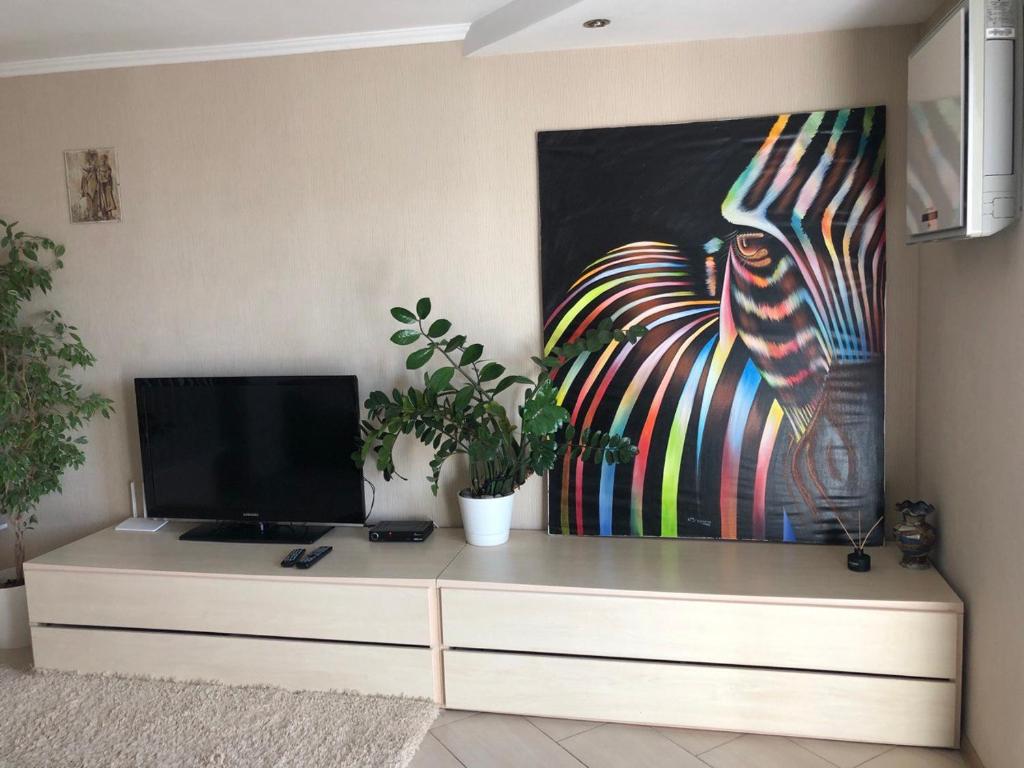 Cozy and comfortable apartment photo 2