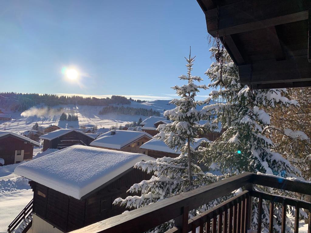APPARTEMENT VUE SUR LES PISTES Aux SAISIES 4 photo 3