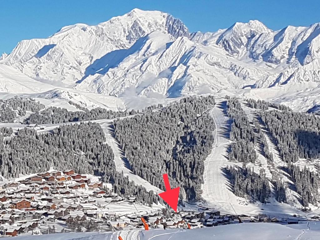 APPARTEMENT PLEIN SUD AUX SAISIES n3 photo 1