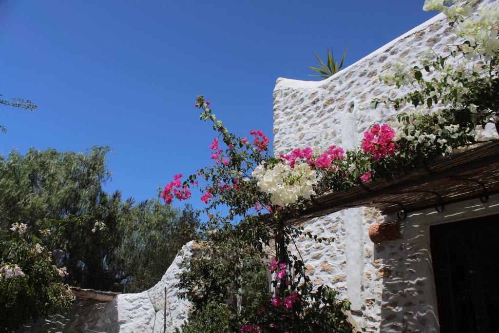 Riad Sanam essaouira photo 2