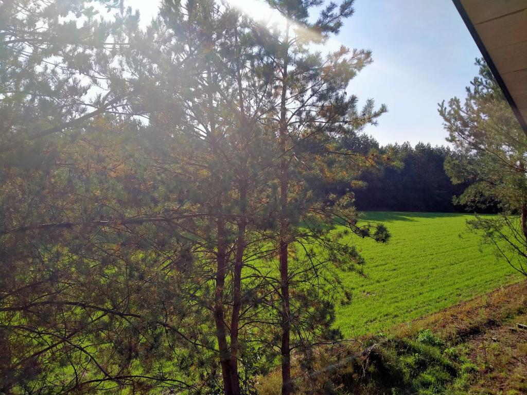 Nadbużańska Przygoda photo 3