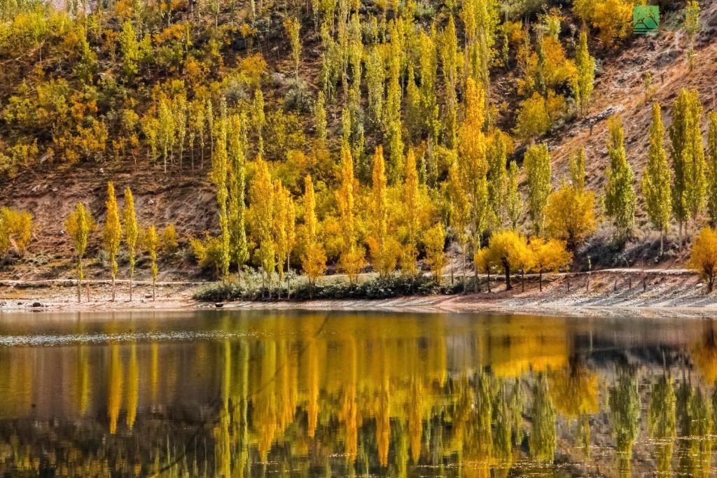 Roomy Yurts, Minapin Nagar Hunza photo 3