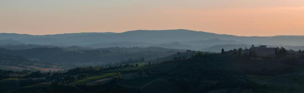 Mancino photo 4