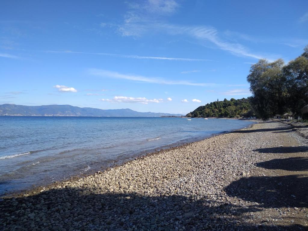 Kalypso relaxing shelter photo 2