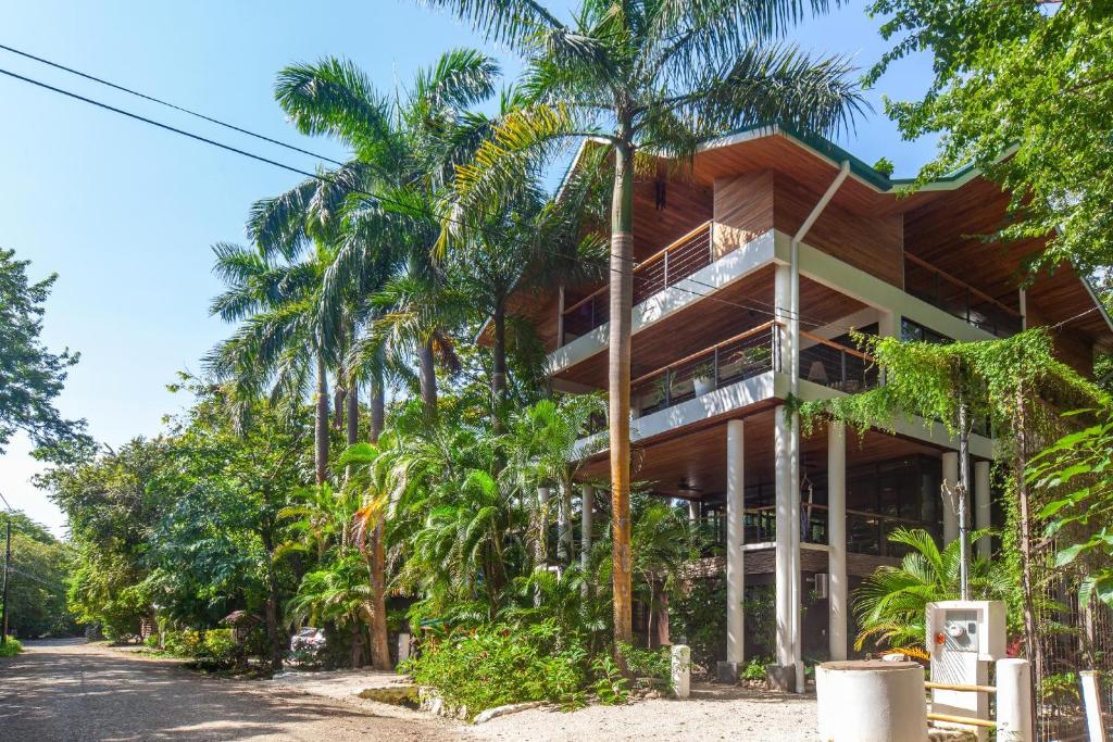 Entire Nosara Tree House photo 1