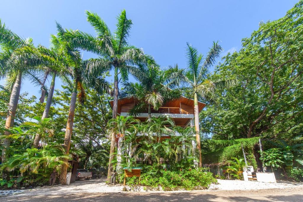 Entire Nosara Tree House photo 2