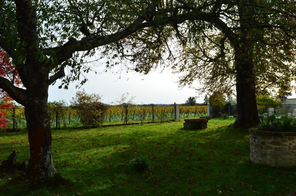 Le Jardin dans les vignes photo 4